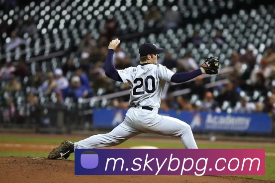 App Interface Preview